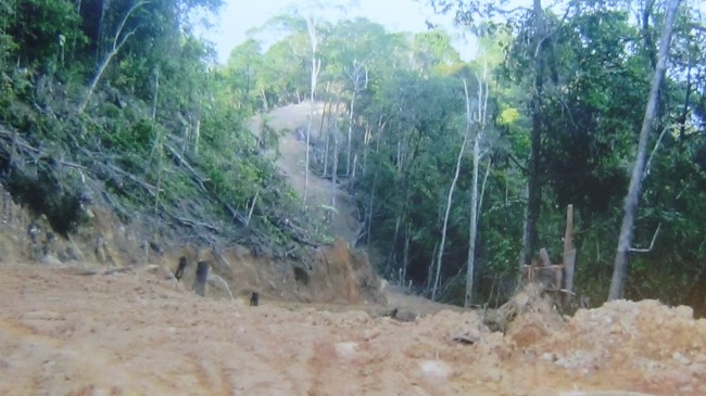 Samling's makeshift logging roads in Long Palai - useless to locals and cause of massive erosion.