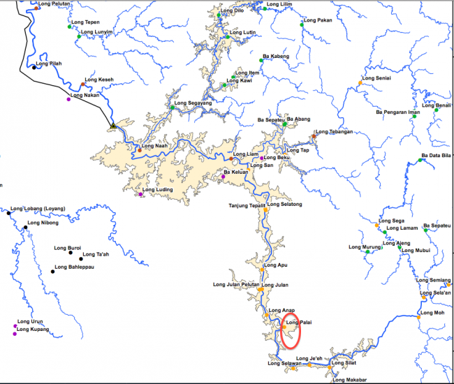Area due to be flooded by Baram (orange) and the region where there is logging