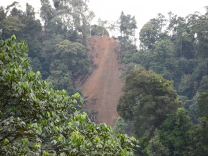 Severe erosion all over the Baram area caused by unsustainable practices and unauthorised logging - which represents 90% of the logging.