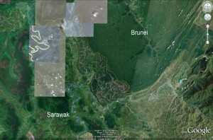 Satellite images show how Sarawak's jungle is degraded compared to Brunei and Kalimantan