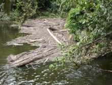 Wargana was supposed to clear up dangerous debris from Bakun lake...instead it lies hidden around the edges.