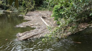 Wargana diberi tanggungpengawa meresi uras ba danau Bakun ­– tang suah agi uras nya dilalaika ba sebelah teluk danau nya