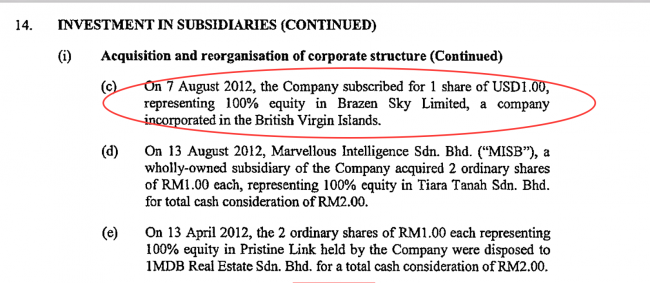 The setting up of Brazen Sky was noted in the 2013 Accounts