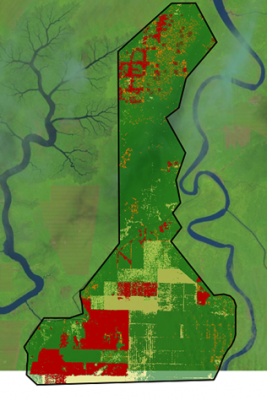 BLD Plantations peatland clearing activity near Sibu from June 2014 to 2014. Red areas denote deforestation. Credit: Friends of the Orangutans