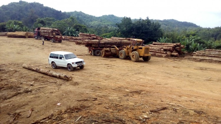 Full scale logging, destroying Malaysia's unique environment against the wishes of the people