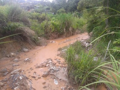 Clogged and lifeless waterways - caused by logging