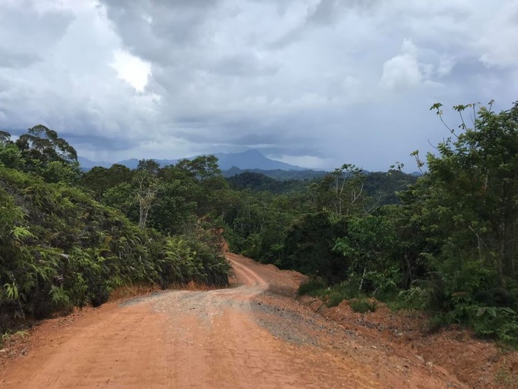 Sarawak's primary infrastructure... crude logging roads