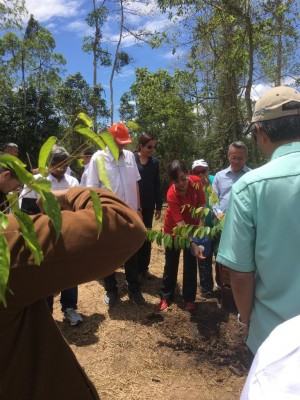 Primary Industries Minister Theresa Kok plants the first tree of a million