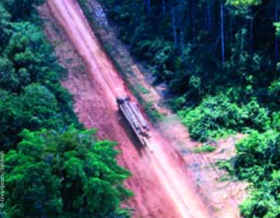 Logging truck bring logs down the Kiunga-Aiambak road for export - Photo credit Greenpeace 