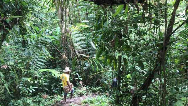 Locals say they have received nothing from logging by RH-owned One Pacific 