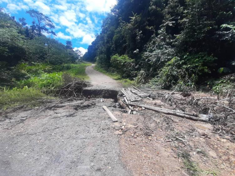 Samling's abandoned logging road in Murum
